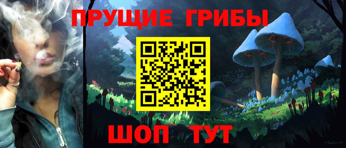 Галлюциногенные грибы GOLDEN TEACHER Лениногорск